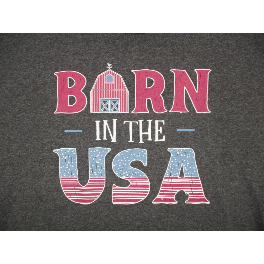Gildan Charcoal Grey Patriotic Humorous Graphic Tee Mens Size L 7oz